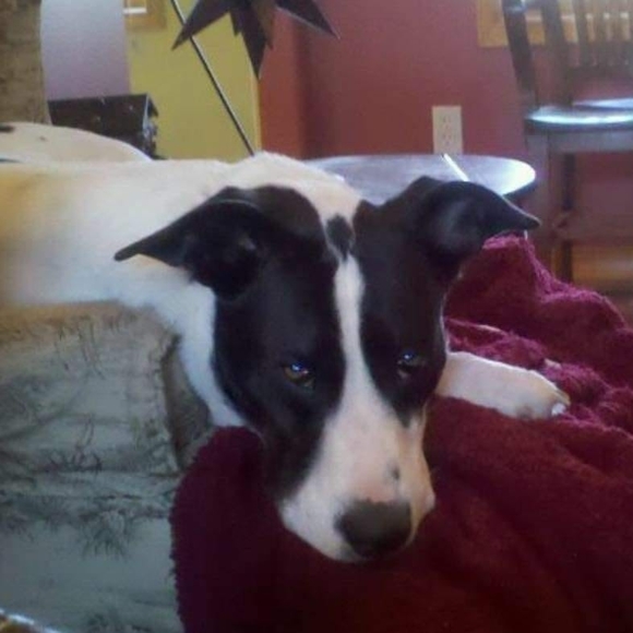 Meet your Posher, Shane - Picture 1 of 1